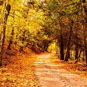 2010-10-16_13-52_06714_WTA_5DM2