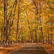 2010-10-16_14-07_06758_WTA_5DM2 Fall Colors, Michigan