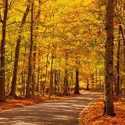 2010-10-16_14-07_06761_WTA_5DM2