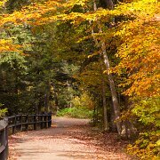 2011-10-12_11-07_16430_WTA_5DM2 Taqamenon Falls State Park, Michigan