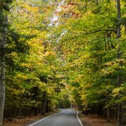 2013-10-15_14-29_38575_WTA_5DM3 Michigan's M-119 - the Tunnel of Trees