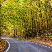 2013-10-15_15-05_38605_WTA_5DM3 Michigan's M-119 - the Tunnel of Trees