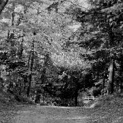 IMG_2010_10_16_0158-Edit-Edit-2