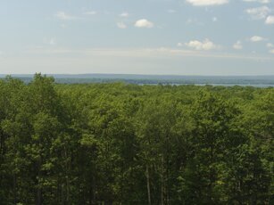 Panoramas