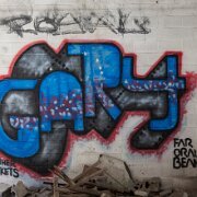 2012-03-11_12-20_17483_WTA_5DM2 The Packard Pland, Detroit Michigan The Packard Plant, located on East Grand Boulevard in Detroit, Michigan, was once a symbol of American industrial prowess....