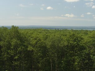 Panoramas