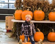 2012-10-13_10-45_12980_WTA_5DM3 Eastern Market is a historic commercial district in Detroit, Michigan. It is located approximately one mile (1.6 km) northeast of the city's downtown and is...