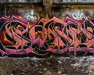 2016-05-22_93412_WTA_5DSR Continental Motors