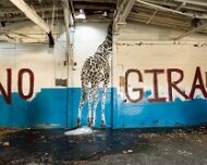 2014-03-09_08-34_08137_WTA_5DM3 The Detroit Museum of Animal Art