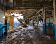 2014-03-09_08-35_08147_WTA_5DM3_HDR The Detroit Museum of Animal Art