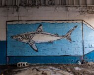 2014-03-09_08-35_08157_WTA_5DM3 The Detroit Museum of Animal Art