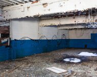 2014-03-09_08-38_08185_WTA_5DM3 The Detroit Museum of Animal Art