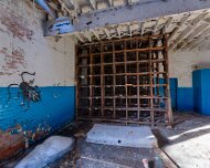 2014-03-09_08-39_08203_WTA_5DM3_HDR The Detroit Museum of Animal Art