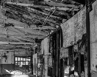 2014-03-09_08-41_08210_WTA_5DM3_HDR The Detroit Museum of Animal Art