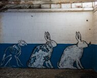 2014-03-09_08-43_08241_WTA_5DM3 The Detroit Museum of Animal Art