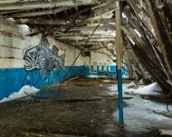 2014-03-09_08-45_08262_WTA_5DM3 The Detroit Museum of Animal Art