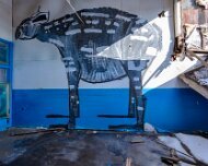 2014-03-09_08-46_08266_WTA_5DM3_HDR The Detroit Museum of Animal Art