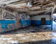 2014-03-09_08-51_08336_WTA_5DM3_HDR The Detroit Museum of Animal Art