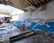 2014-03-09_08-54_08350_WTA_5DM3_HDR The Detroit Museum of Animal Art