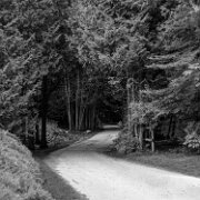 DSCB03534