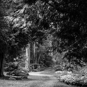 IMG_7860-2