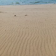 2017-05-22_115525_WTA_5DM4-2