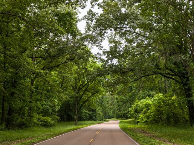 Natchez