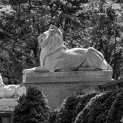 2021-05-18_19658_WTA_R5 New York Public Library, New York City