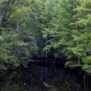 2023-05-21_236209_WTA_R5-2 Roseboro, North Carolina