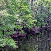 2023-05-21_236315_WTA_R5-2 Roseboro, North Carolina