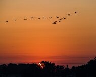 2017-09-23_32429_WTA_5DM4