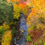 Lanterman's Mill Lanterman's Mill is a historic landmark located in Youngstown, Ohio, USA. Built in the mid-1800s, the mill was originally used for grinding grains into flour...