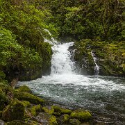 2024-05-01_435773_WTA_R5 Sweetwater Creek Falls, Mapleton, Oregon