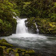 2024-05-01_435800_WTA_R5 Sweetwater Creek Falls, Mapleton, Oregon