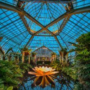 2017-06-23_21460_WTA_5DM4_HDR Phipps Conservatory and Botanical Gardens is a botanical garden set in Schenley Park, Pittsburgh, Pennsylvania, United States. It is a City of Pittsburgh...