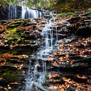 2020-10-23_00774_WTA_R5 Ricketts Glen State Park, Luzerne, Sullivan, and Columbia counties, Pennsylvania
