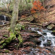 Waterfall Ricketts Glen State Park, Luzerne, Sullivan, and Columbia counties, Pennsylvania