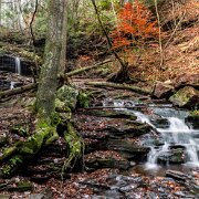 Waterfall Ricketts Glen State Park, Luzerne, Sullivan, and Columbia counties, Pennsylvania