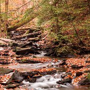 2020-10-23_00812_WTA_R5 Ricketts Glen State Park, Luzerne, Sullivan, and Columbia counties, Pennsylvania