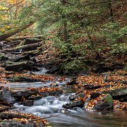 2020-10-23_00817_WTA_R5 Ricketts Glen State Park, Luzerne, Sullivan, and Columbia counties, Pennsylvania