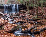 2020-10-23_01259_WTA_R5 Ricketts Glen State Park, Luzerne, Sullivan, and Columbia counties, Pennsylvania