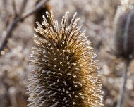 2018-11-04_56860_WTA_5DM4