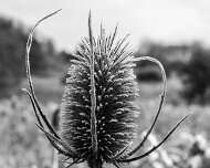 2018-11-04_56894_WTA_5DM4