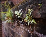 2022-04-02_055436_WTA_R5 Charleston, SC