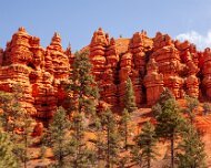 2010-04-21_10-53_03836_WTA_5DM2 Red Rock Canyon