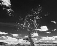 2015-04-01_75657_WTA_5DM3 Monument Valley (Navajo: Tsé Biiʼ Ndzisgaii, meaning valley of the rocks) is a region of the Colorado Plateau characterized by a cluster of vast sandstone...