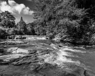 2021-07-18_44252_WTA_R5 Albert Falls, Thomas, West Virginia