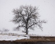 2024-04-17_367338_WTA_R5 Linch, Wyoming