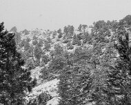 2024-04-17_367372_WTA_R5 Linch, Wyoming