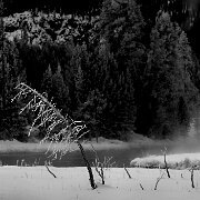 2025-01-21_013366_WTA_R5m2-Edit Yellowstone - Day 1